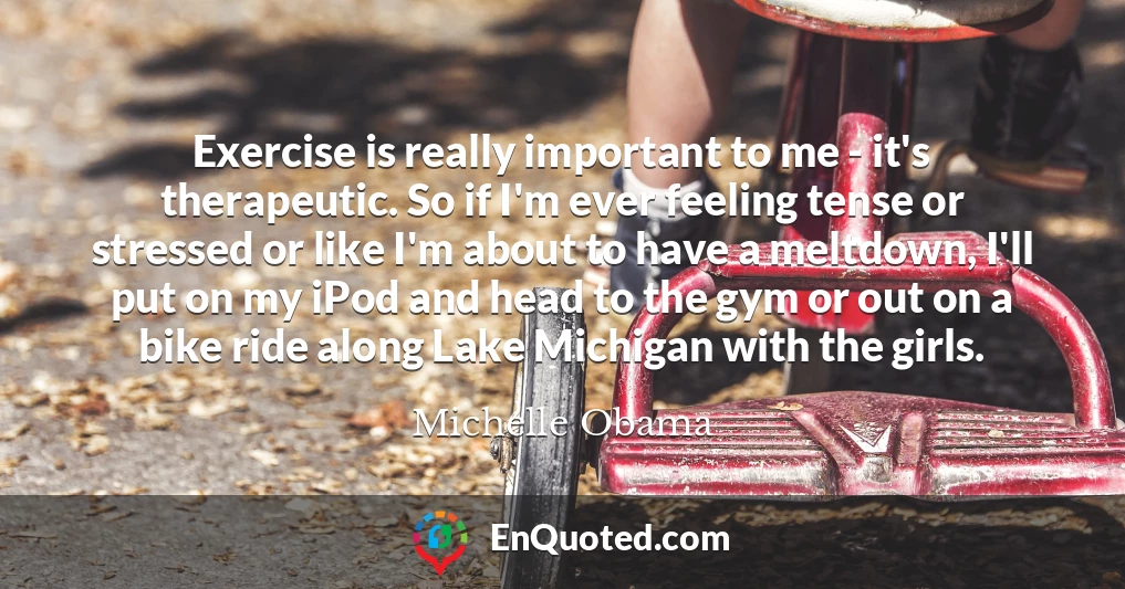 Exercise is really important to me - it's therapeutic. So if I'm ever feeling tense or stressed or like I'm about to have a meltdown, I'll put on my iPod and head to the gym or out on a bike ride along Lake Michigan with the girls.