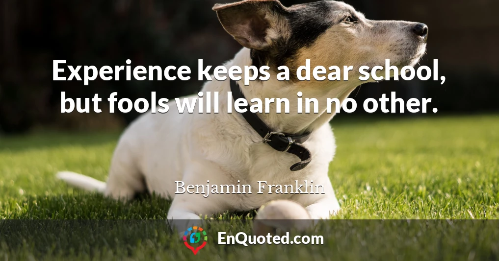 Experience keeps a dear school, but fools will learn in no other.