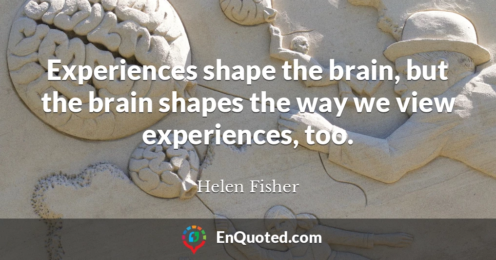 Experiences shape the brain, but the brain shapes the way we view experiences, too.