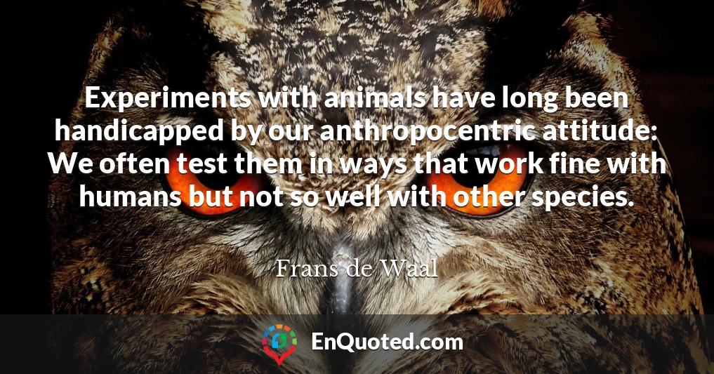 Experiments with animals have long been handicapped by our anthropocentric attitude: We often test them in ways that work fine with humans but not so well with other species.