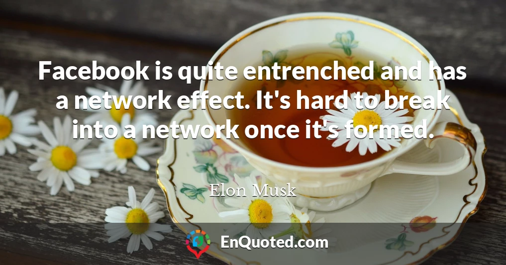 Facebook is quite entrenched and has a network effect. It's hard to break into a network once it's formed.