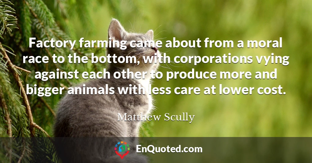 Factory farming came about from a moral race to the bottom, with corporations vying against each other to produce more and bigger animals with less care at lower cost.