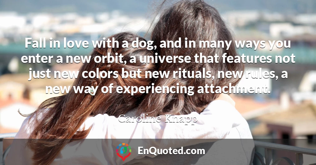 Fall in love with a dog, and in many ways you enter a new orbit, a universe that features not just new colors but new rituals, new rules, a new way of experiencing attachment.