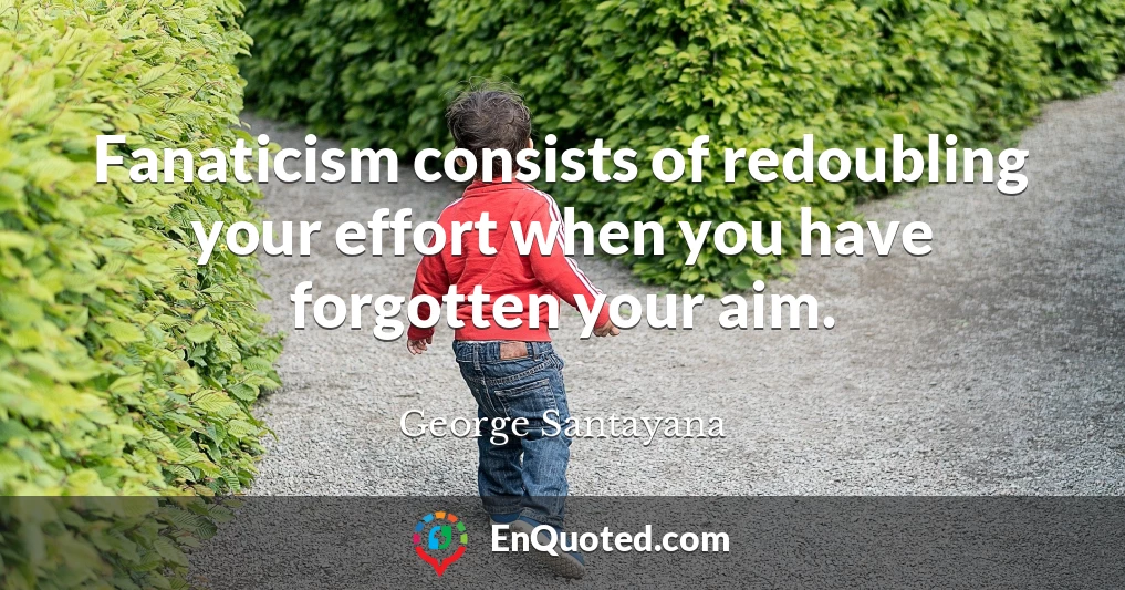 Fanaticism consists of redoubling your effort when you have forgotten your aim.