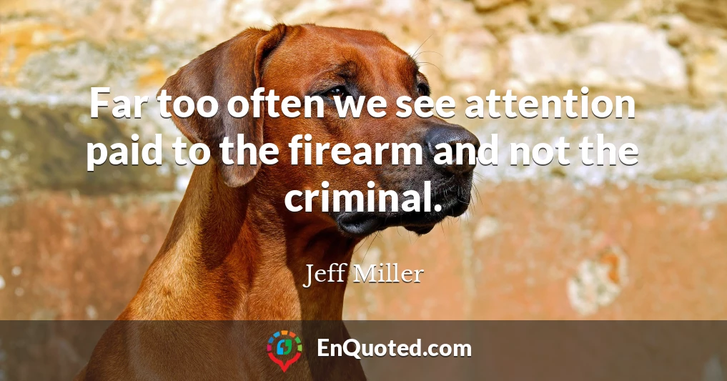 Far too often we see attention paid to the firearm and not the criminal.