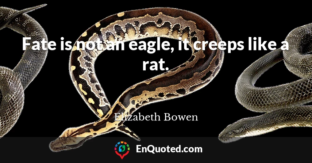 Fate is not an eagle, it creeps like a rat.