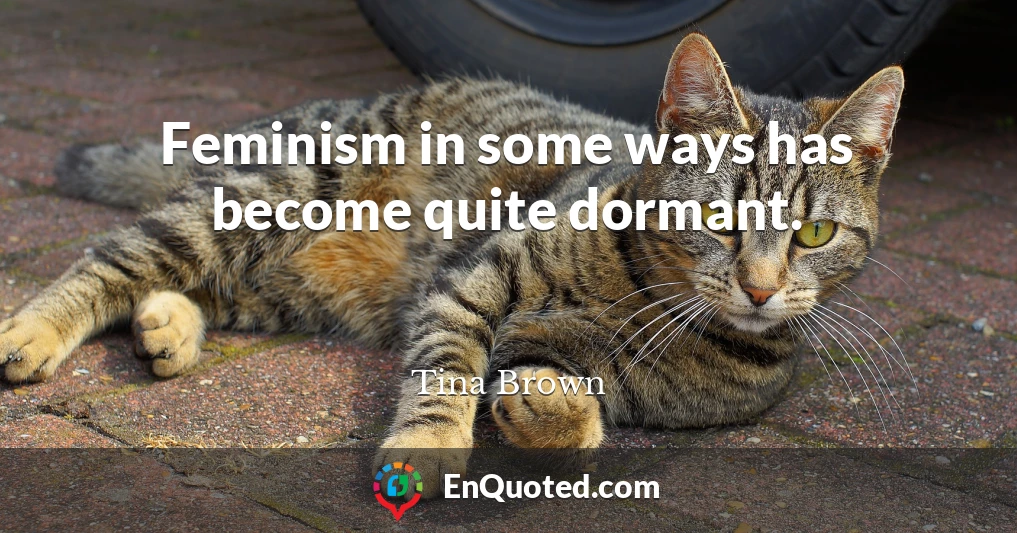 Feminism in some ways has become quite dormant.