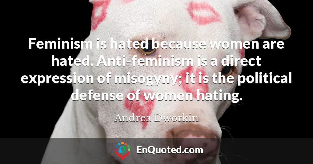 Feminism is hated because women are hated. Anti-feminism is a direct expression of misogyny; it is the political defense of women hating.