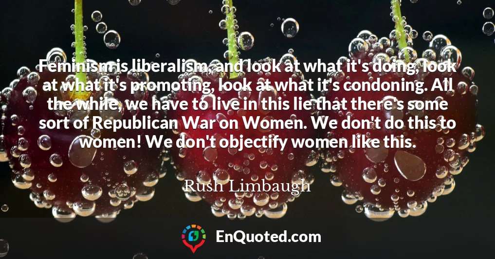 Feminism is liberalism, and look at what it's doing, look at what it's promoting, look at what it's condoning. All the while, we have to live in this lie that there's some sort of Republican War on Women. We don't do this to women! We don't objectify women like this.