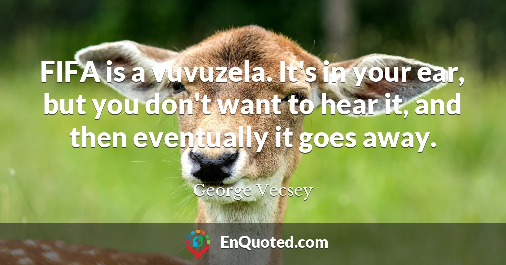 FIFA is a vuvuzela. It's in your ear, but you don't want to hear it, and then eventually it goes away.