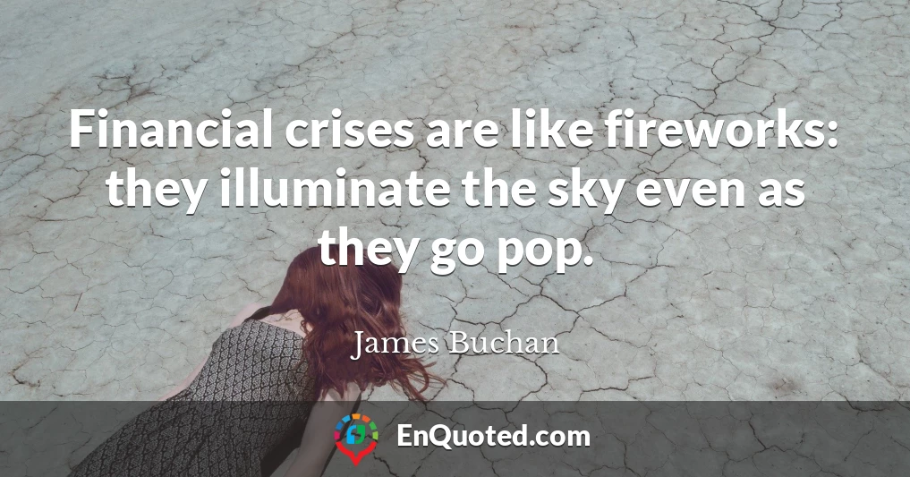Financial crises are like fireworks: they illuminate the sky even as they go pop.
