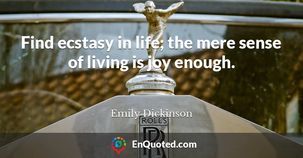 Find ecstasy in life; the mere sense of living is joy enough.