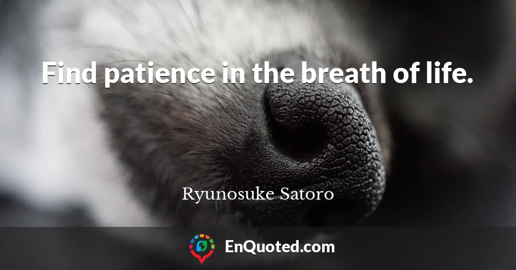 Find patience in the breath of life.