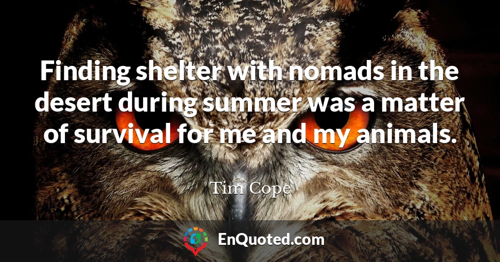 Finding shelter with nomads in the desert during summer was a matter of survival for me and my animals.