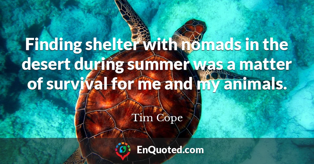 Finding shelter with nomads in the desert during summer was a matter of survival for me and my animals.