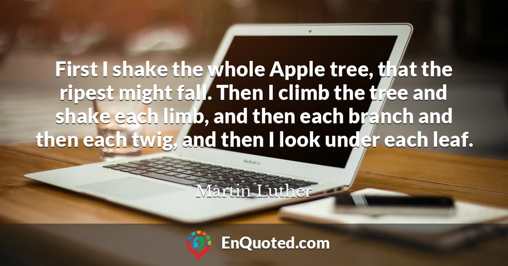 First I shake the whole Apple tree, that the ripest might fall. Then I climb the tree and shake each limb, and then each branch and then each twig, and then I look under each leaf.