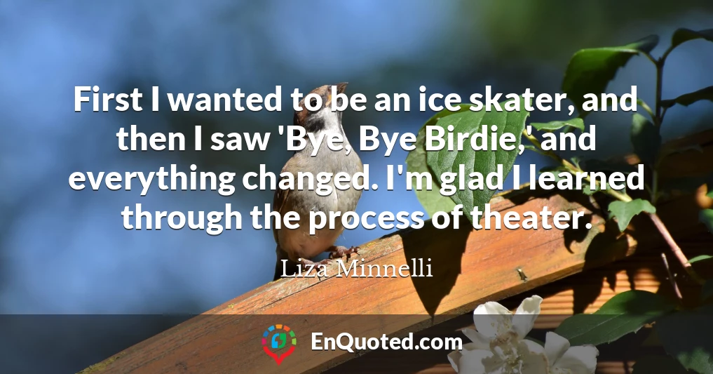 First I wanted to be an ice skater, and then I saw 'Bye, Bye Birdie,' and everything changed. I'm glad I learned through the process of theater.