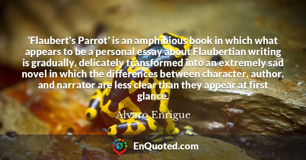 'Flaubert's Parrot' is an amphibious book in which what appears to be a personal essay about Flaubertian writing is gradually, delicately transformed into an extremely sad novel in which the differences between character, author, and narrator are less clear than they appear at first glance.