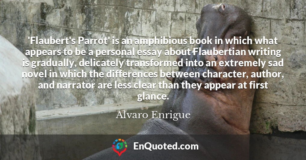 'Flaubert's Parrot' is an amphibious book in which what appears to be a personal essay about Flaubertian writing is gradually, delicately transformed into an extremely sad novel in which the differences between character, author, and narrator are less clear than they appear at first glance.