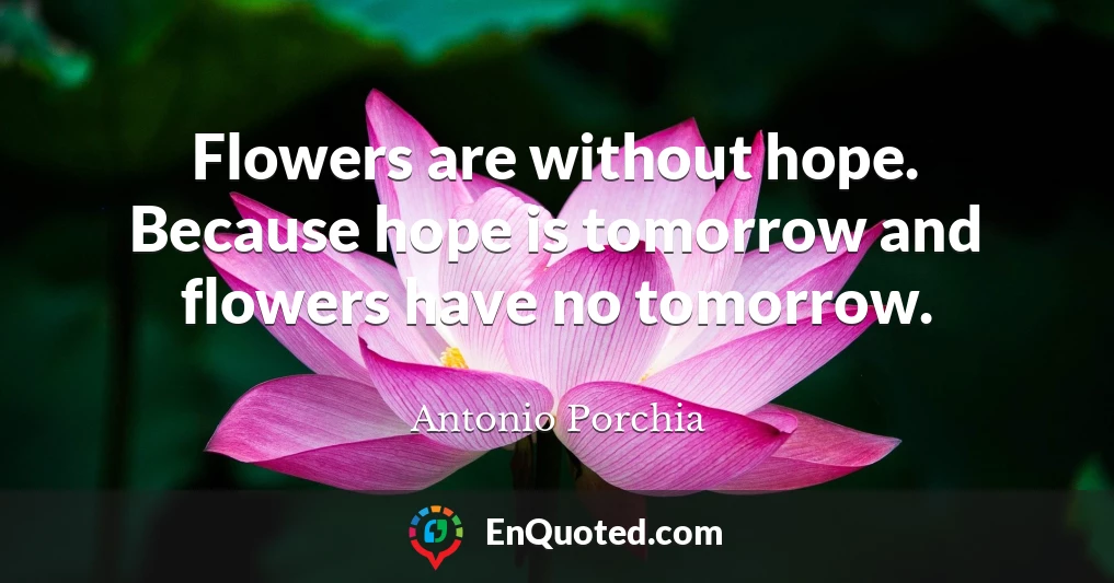 Flowers are without hope. Because hope is tomorrow and flowers have no tomorrow.