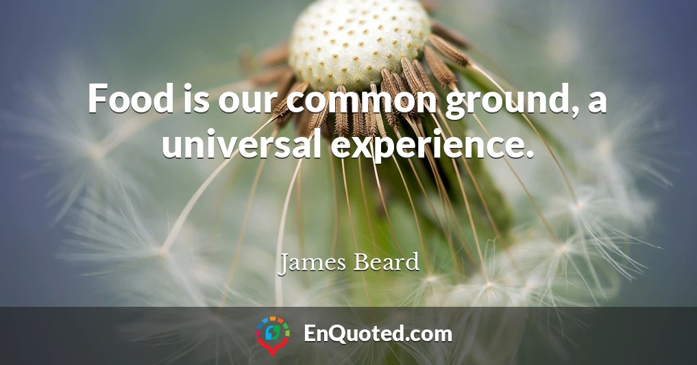 Food is our common ground, a universal experience.