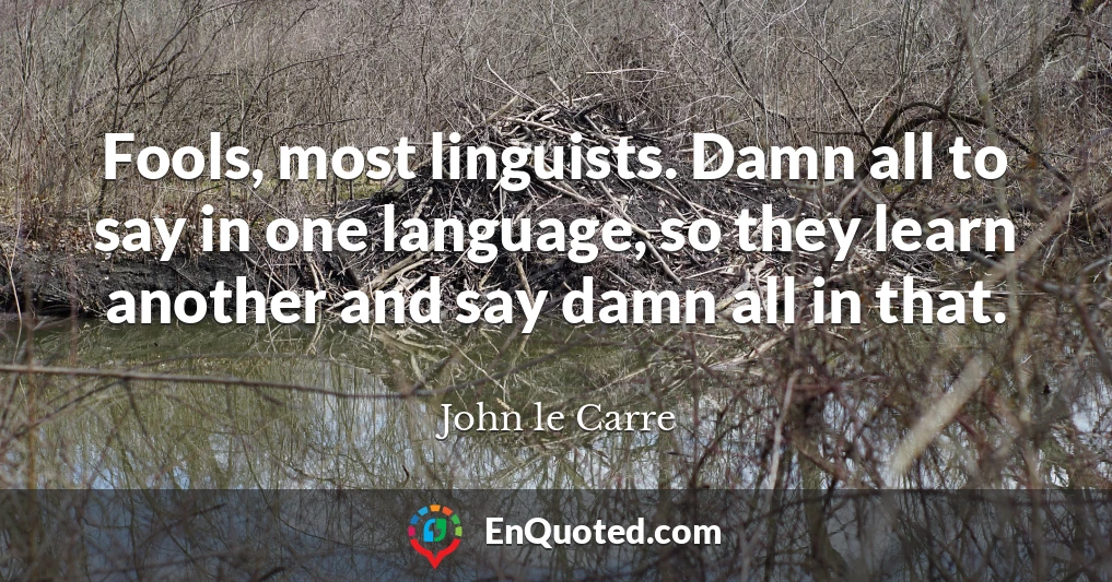 Fools, most linguists. Damn all to say in one language, so they learn another and say damn all in that.