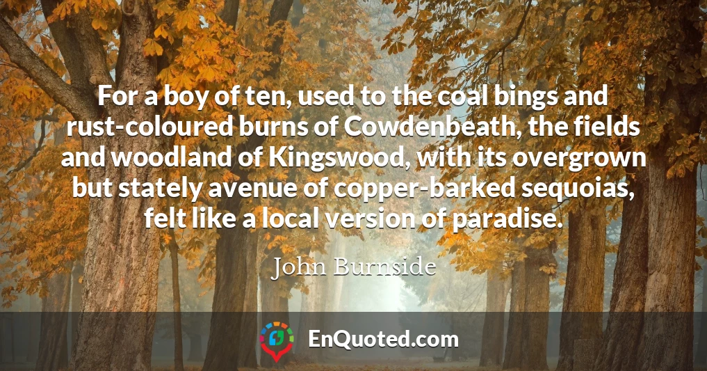 For a boy of ten, used to the coal bings and rust-coloured burns of Cowdenbeath, the fields and woodland of Kingswood, with its overgrown but stately avenue of copper-barked sequoias, felt like a local version of paradise.