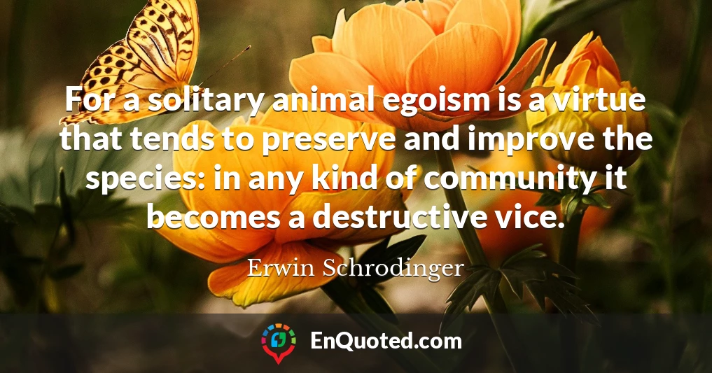 For a solitary animal egoism is a virtue that tends to preserve and improve the species: in any kind of community it becomes a destructive vice.