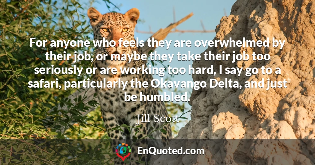 For anyone who feels they are overwhelmed by their job, or maybe they take their job too seriously or are working too hard, I say go to a safari, particularly the Okavango Delta, and just be humbled.