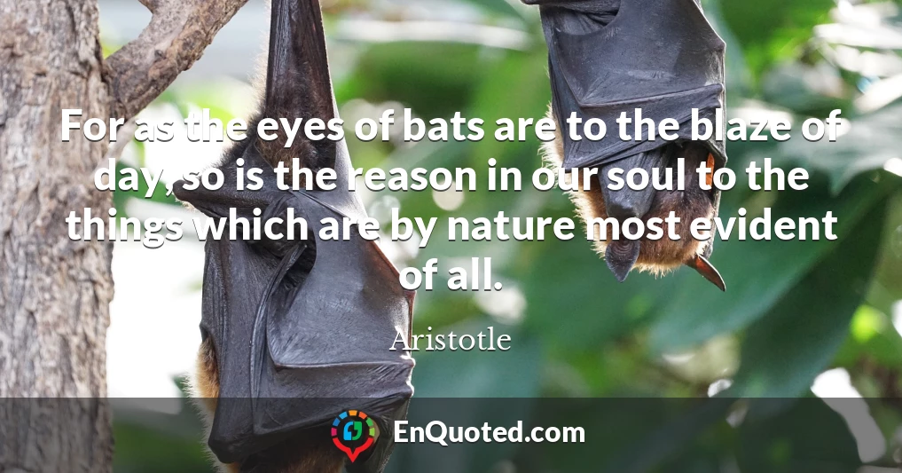 For as the eyes of bats are to the blaze of day, so is the reason in our soul to the things which are by nature most evident of all.