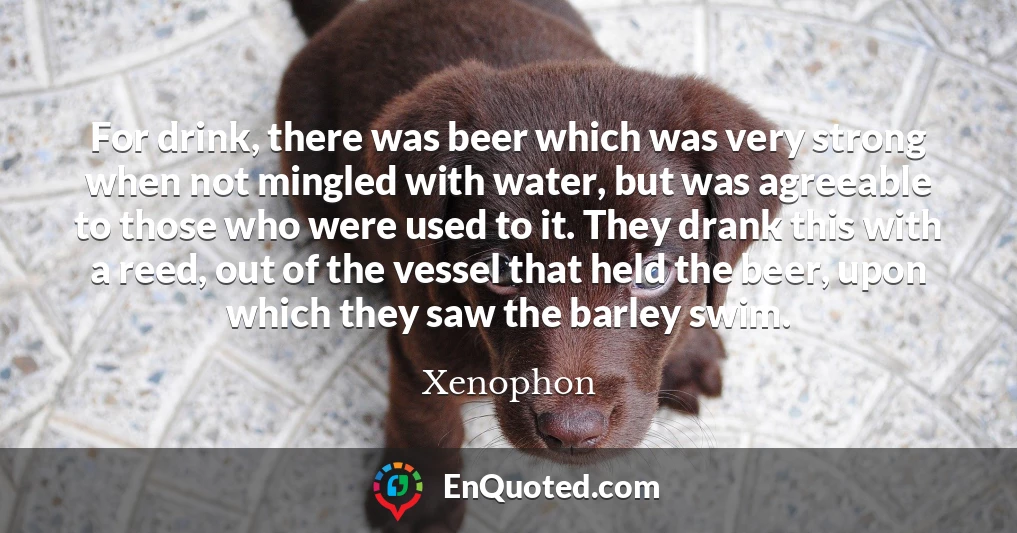 For drink, there was beer which was very strong when not mingled with water, but was agreeable to those who were used to it. They drank this with a reed, out of the vessel that held the beer, upon which they saw the barley swim.