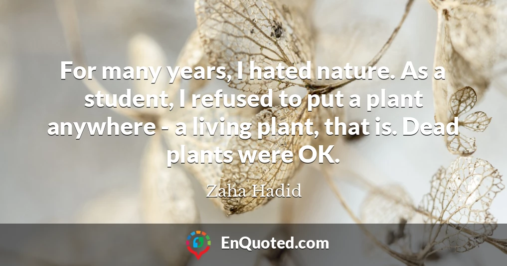 For many years, I hated nature. As a student, I refused to put a plant anywhere - a living plant, that is. Dead plants were OK.