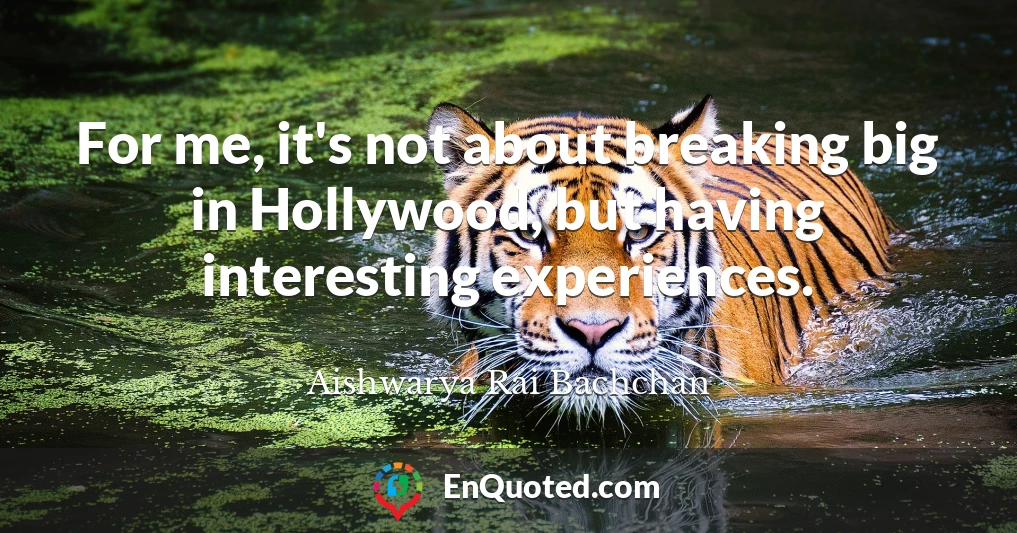 For me, it's not about breaking big in Hollywood, but having interesting experiences.