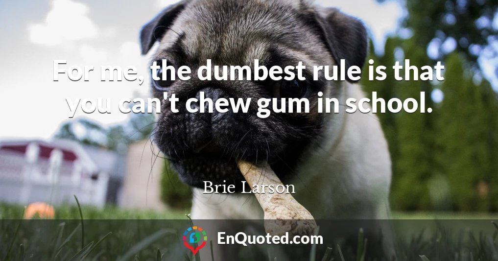 For me, the dumbest rule is that you can't chew gum in school.