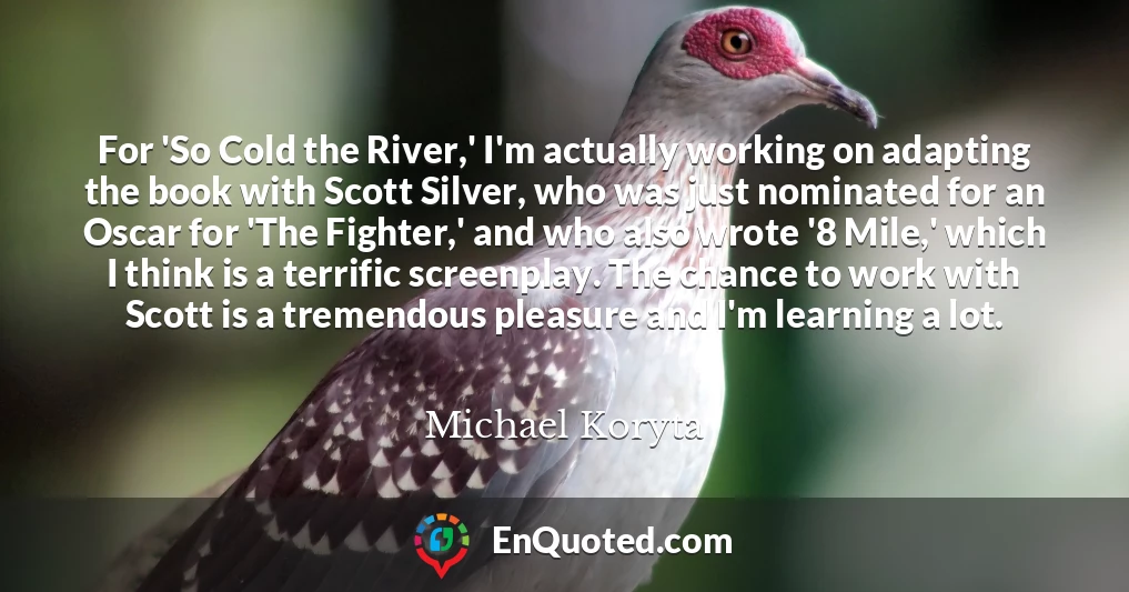 For 'So Cold the River,' I'm actually working on adapting the book with Scott Silver, who was just nominated for an Oscar for 'The Fighter,' and who also wrote '8 Mile,' which I think is a terrific screenplay. The chance to work with Scott is a tremendous pleasure and I'm learning a lot.