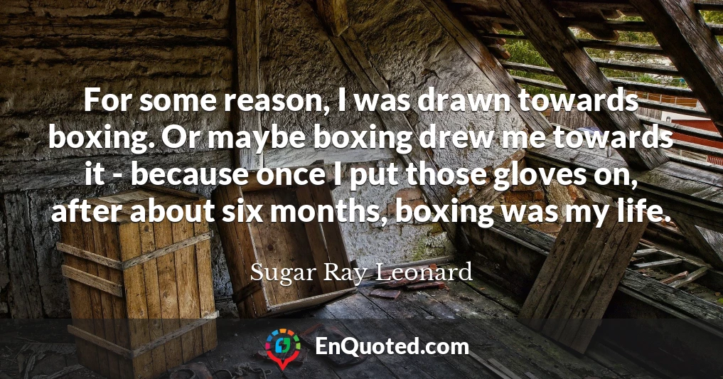 For some reason, I was drawn towards boxing. Or maybe boxing drew me towards it - because once I put those gloves on, after about six months, boxing was my life.