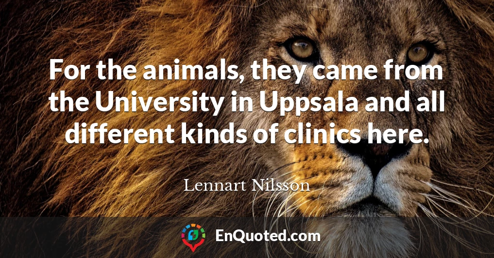 For the animals, they came from the University in Uppsala and all different kinds of clinics here.