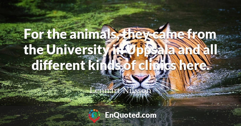 For the animals, they came from the University in Uppsala and all different kinds of clinics here.