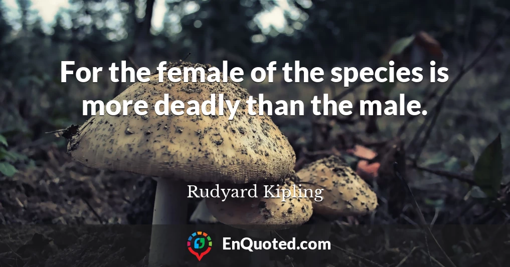 For the female of the species is more deadly than the male.