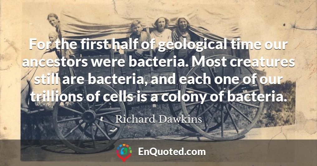 For the first half of geological time our ancestors were bacteria. Most creatures still are bacteria, and each one of our trillions of cells is a colony of bacteria.