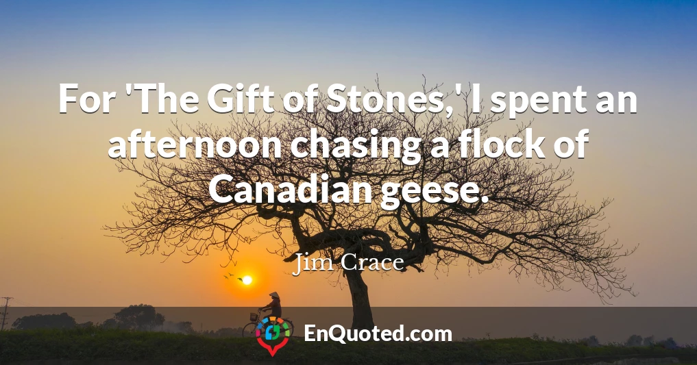 For 'The Gift of Stones,' I spent an afternoon chasing a flock of Canadian geese.