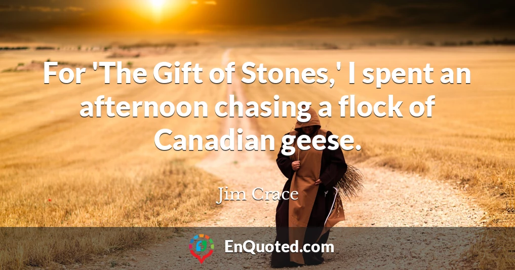 For 'The Gift of Stones,' I spent an afternoon chasing a flock of Canadian geese.