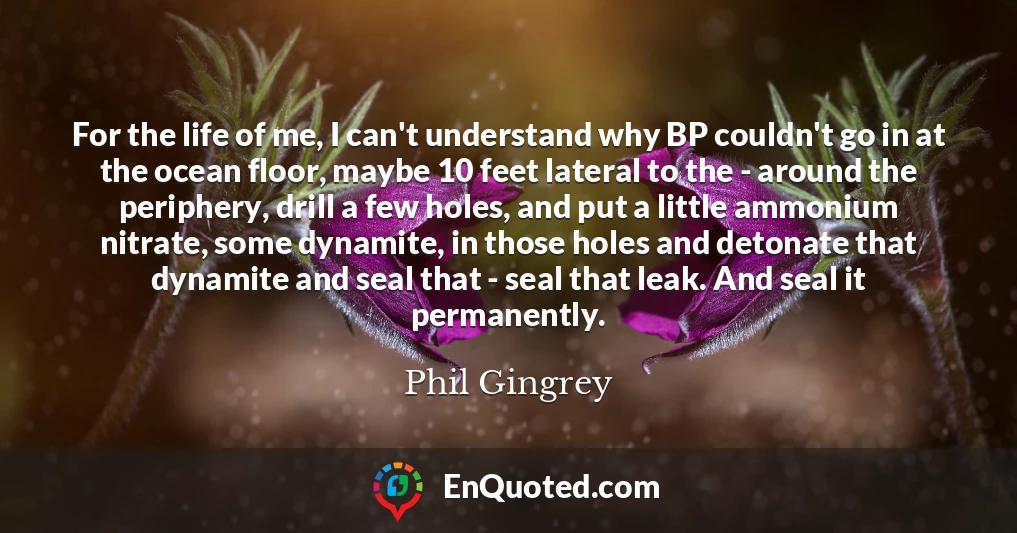 For the life of me, I can't understand why BP couldn't go in at the ocean floor, maybe 10 feet lateral to the - around the periphery, drill a few holes, and put a little ammonium nitrate, some dynamite, in those holes and detonate that dynamite and seal that - seal that leak. And seal it permanently.