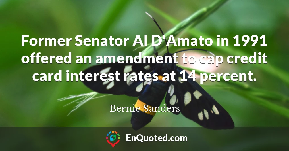 Former Senator Al D'Amato in 1991 offered an amendment to cap credit card interest rates at 14 percent.