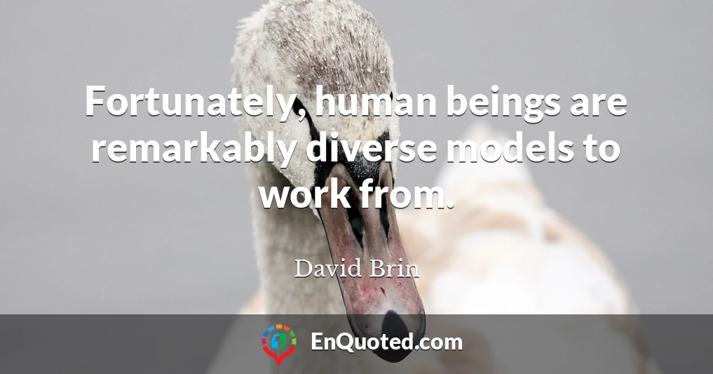 Fortunately, human beings are remarkably diverse models to work from.