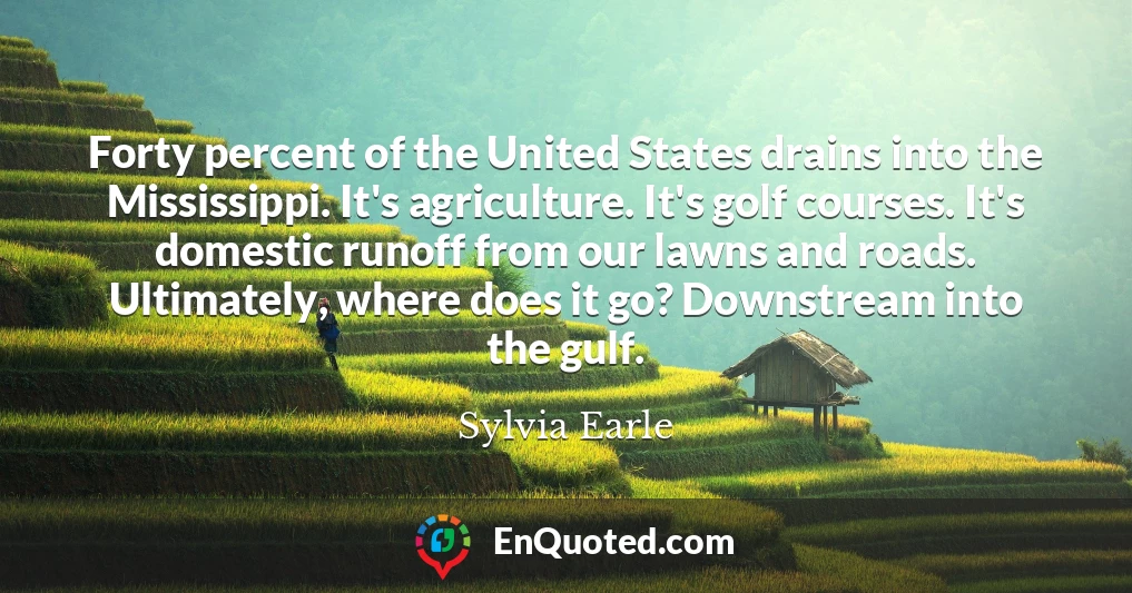 Forty percent of the United States drains into the Mississippi. It's agriculture. It's golf courses. It's domestic runoff from our lawns and roads. Ultimately, where does it go? Downstream into the gulf.