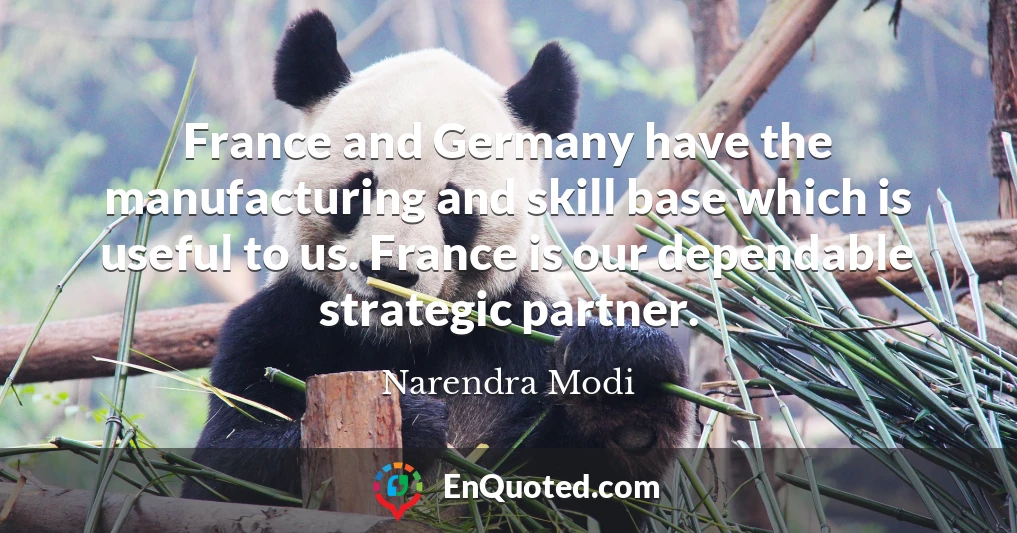 France and Germany have the manufacturing and skill base which is useful to us. France is our dependable strategic partner.