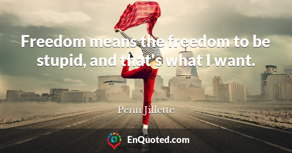Freedom means the freedom to be stupid, and that's what I want.