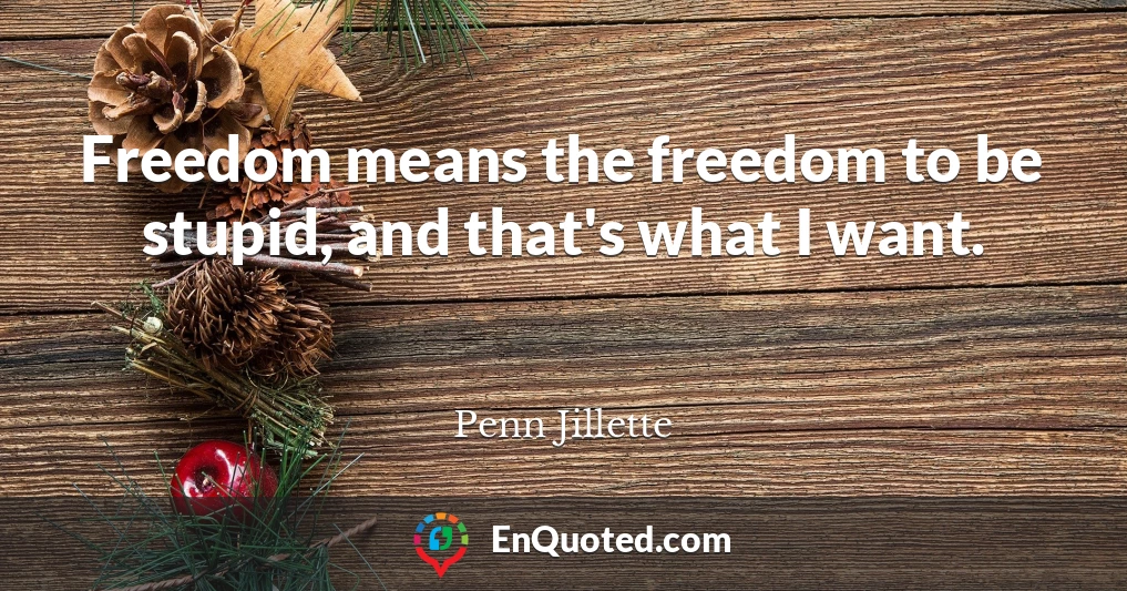 Freedom means the freedom to be stupid, and that's what I want.