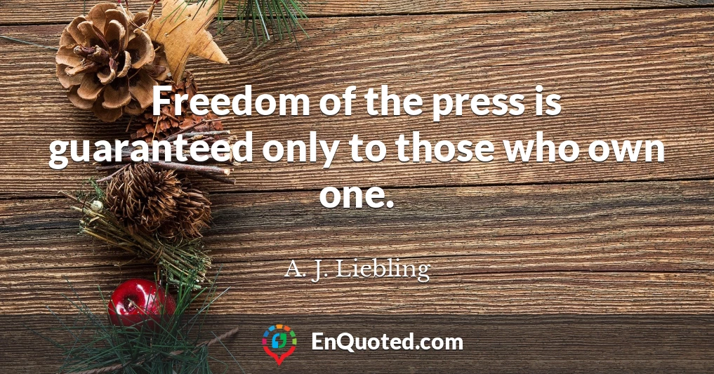 Freedom of the press is guaranteed only to those who own one.